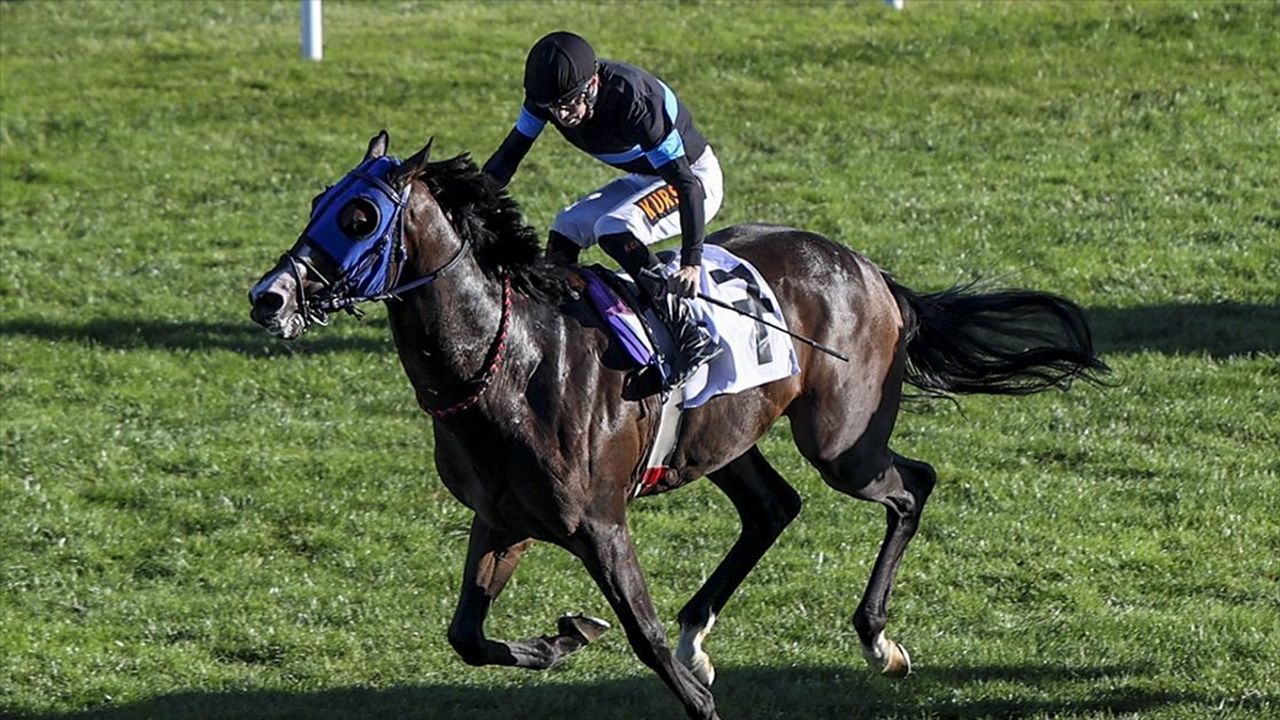 At yarışlarında 45. Cumhuriyet Koşusu ve 87. Cumhurbaşkanlığı Koşusu, Ankara'da yapılacak