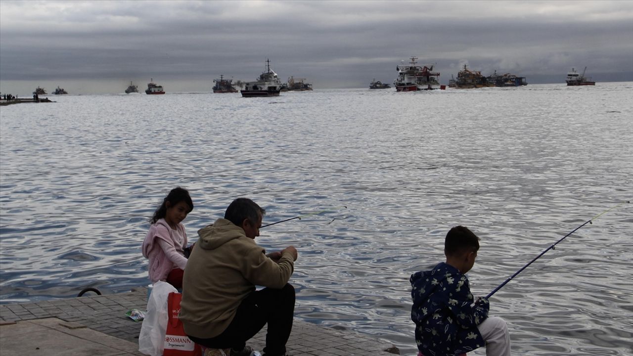 Balıkçıların Karadeniz'deki hamsi avı sürüyor
