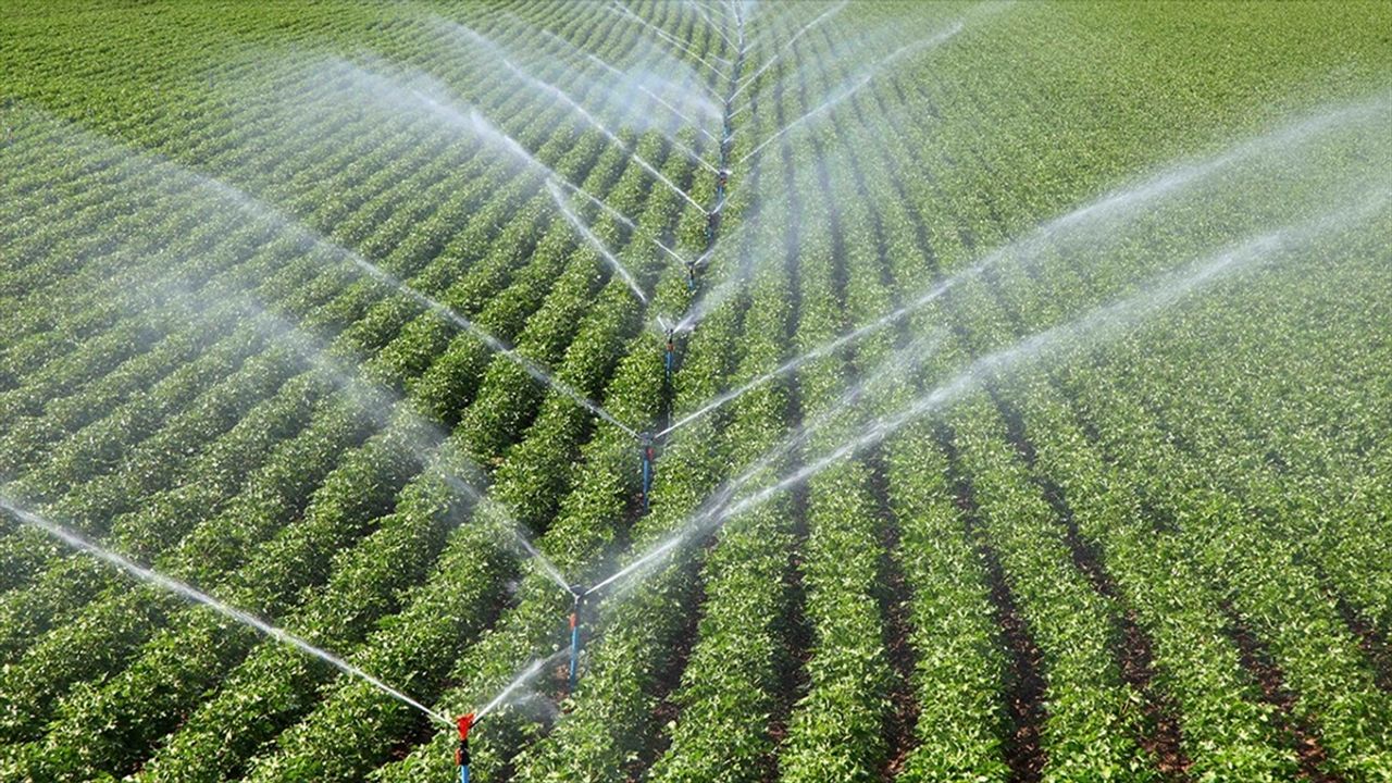 Çiftçilere 306 milyon 541 bin 763 lira tarımsal destek ödemesi bugün yapılacak