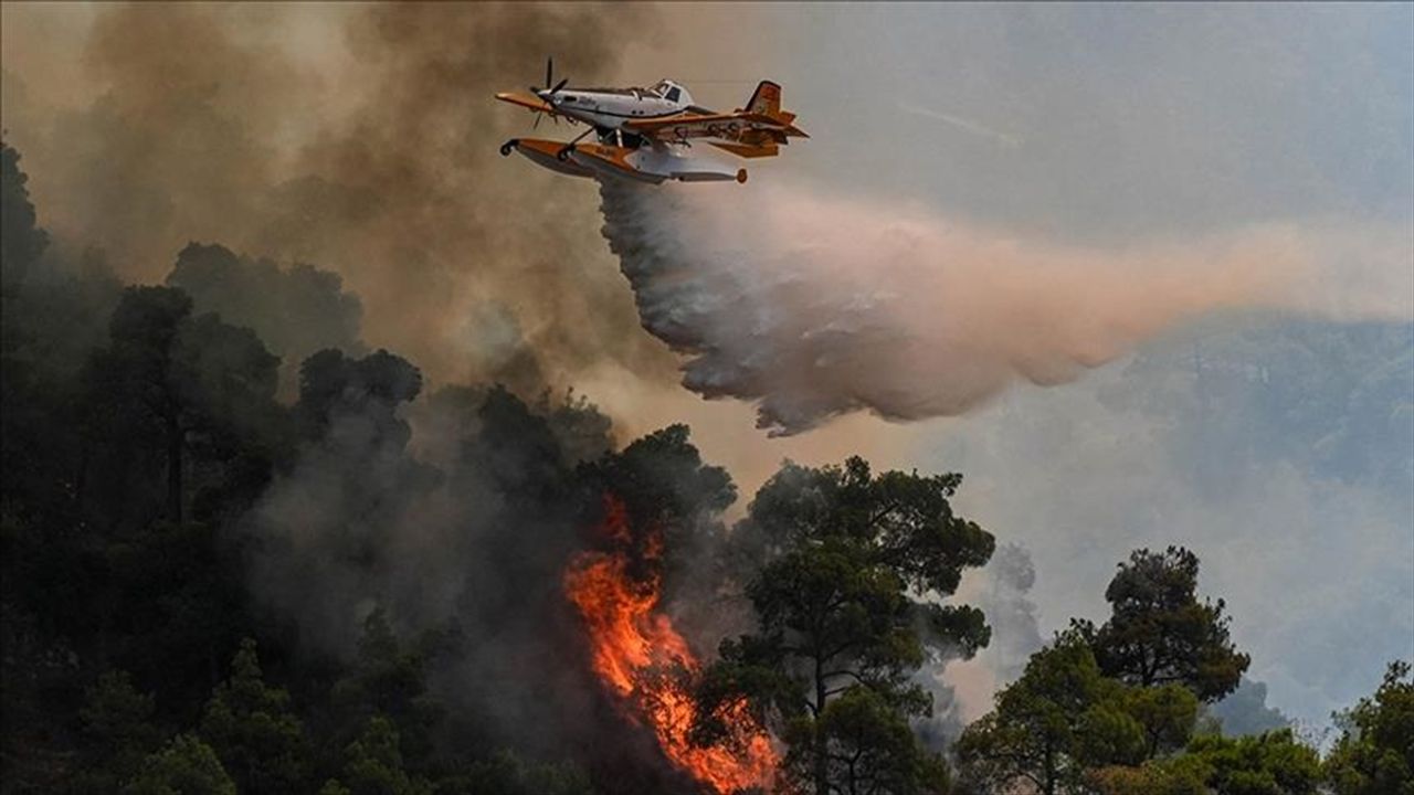 Yapay zeka orman yangınlarına müdahaleye hız kazandırdı
