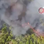 Muğla'da başlayıp Kaş'a sıçradı! Müdahale sürüyor