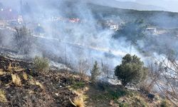 İskenderun'da çıkan bahçe yangını söndürüldü