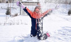 Bazı illerde kar yağışı nedeniyle eğitime ara verildi