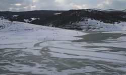 Tokat'taki Artova Göleti'nin yüzeyi buz tuttu