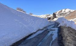 Ardahan'da çığ nedeniyle kapanan 2 köy yolu ulaşıma açıldı