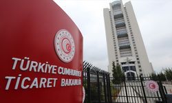 Ticaret Bakanlığı, 8 şirketi daha "dış ticaret sermaye şirketi" statüsüne aldı