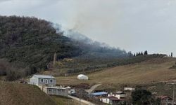 Yalova'da ormanlık alanda çıkan yangına müdahale ediliyor