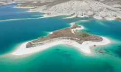 Adıyaman'ın martılara özel adası