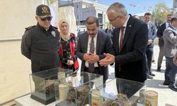 Ardahan'da "Dünya Arı Günü" etkinliği düzenlendi