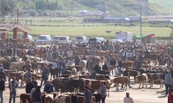 Doğu Anadolu'dan batıya yaklaşık 80 bin kurbanlık gönderildi