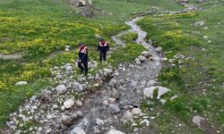 Jandarma ekipleri endemik bitkilerin korunması için görevde