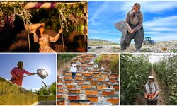 Kadın girişimciler 2030'a kadar küresel ekonomiye 13 trilyon dolar ekleme potansiyeli taşıyor