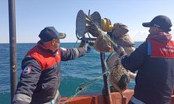 Karadeniz'de kaçak bırakılan 44 bin metre ağ toplandı