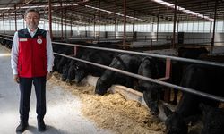 Kırsalda Bereket Hayvancılığa Destek Projesi'nde 4 bin 351 hak sahibi belirlendi