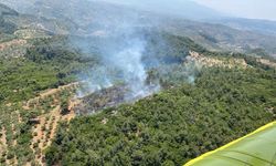 Aydın'ın Germencik ilçesinde ormanlık alanda yangın çıktı