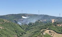 Balıkesir'de çıkan orman yangınına müdahale ediliyor