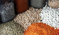 Güneydoğu'dan 5 ayda 1,5 milyar dolarlık hububat ihracatı gerçekleştirildi