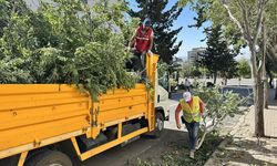Kahramanmaraş'ta fırtına hayatı olumsuz etkiledi