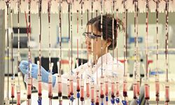 Türk Kızılay 2,3 milyon gönüllü kan bağışçısıyla dünyada 3'üncü oldu