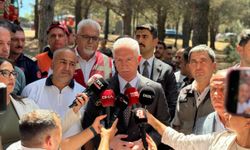 GÜNCELLEME- Sultangazi'de ormanlık alanda çıkan yangın kontrol altına alındı