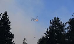 Hatay Dörtyol'da dün çıkan orman yangınına müdahale sürüyor