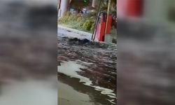 Kuşadası'nda kanalizasyon hattı taşınca cadde pis suyla doldu
