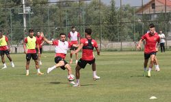 Süper Lig'in yeni ekiplerinden Gençlerbirliği, kalıcı başarı peşinde