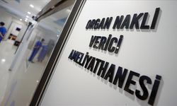 Türkiye "canlı vericili nakiller"de dünyada böbrekte ilk, karaciğerde ikinci sırada