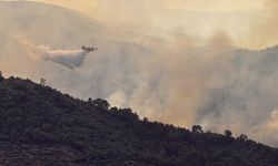 Alarm durumundaki Portekiz'de orman yangınlarıyla mücadele devam ediyor