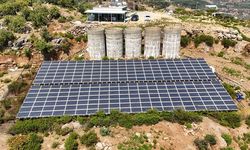 Antalya'da tropikal meyve bahçelerine kurulan GES enerji maliyetlerini düşürdü