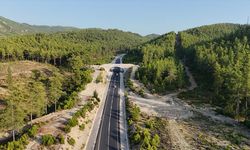 Antalya'nın ekolojik köprüsü yaban hayatını koruyor