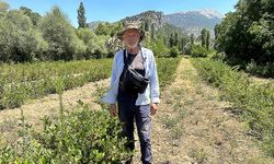 Avustralya'da çalışıp emekli olan gurbetçi, Isparta'da aronya bahçesi kurdu