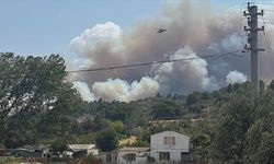 Çanakkale'de tarım arazisinde başlayıp ormana sıçrayan yangına müdahale ediliyor