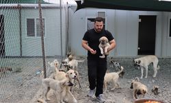 Erzincan'da atık gıdalar yeni kurulan tesiste hayvanlar için mamaya dönüştürülüyor
