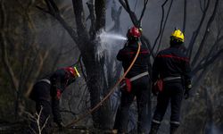 Fransa'nın Charente vilayetinde çıkan yangında 200 hektardan fazla ormanlık alan zarar gördü