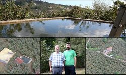 Giresun'da fındık bahçesine damla sulama sistemi kuran baba oğul verimi iki kat artırdı