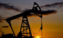 Hindistan'ın, ABD'nin aksi yöndeki "uyarısına" rağmen Rusya'dan petrol alımını sürdüreceği iddiası