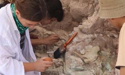 Kavurucu sıcaklarda 9 milyon yıllık fosillerin izini sürüyorlar