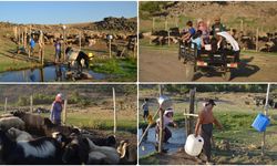 Muş'ta 'berivanlar' üç tekerlekli motosikletlerle yaylaya çıkıyor