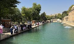 Şanlıurfa'da kavurucu sıcaklar etkisini sürdürüyor