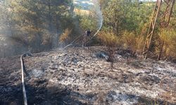 Sinop'ta çıkan orman yangınına müdahale ediliyor