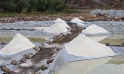 Sivas'ın "esmer tuzu" Japonya'da yemeklere lezzet katıyor