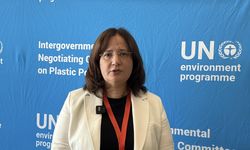 Türkiye, BM'deki toplantıda plastik kirliliğiyle mücadele uzlaşısı için yapıcı rolünü sürdürüyor