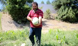 Yakınlarını kanserden kaybedince organik tarıma yönelerek üretici oldu