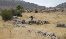 Adıyaman kırsalında Roma dönemine ait yerleşim alanı bulundu