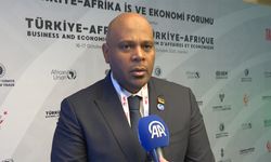 Afrika dijital dönüşümü şekillendirecek nadir metallerin yüzde 30'unu barındırıyor