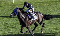 At yarışlarında 45. Cumhuriyet Koşusu ve 87. Cumhurbaşkanlığı Koşusu, Ankara'da yapılacak