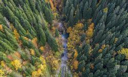 Azdavay'ın saklı güzelliği 'Saray Şelalesi'nde sonbahar tüm renkleriyle yaşanıyor