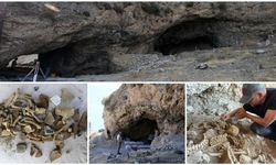 Bitlis'teki Delikli Mağara'da 8 bin yıllık yaşamın izleri gün yüzüne çıkarıldı