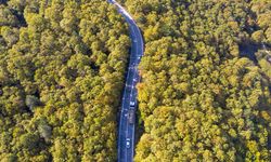 Bolu'da ormanlık alanlar sonbahar renklerine büründü